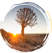 Corona Sunset Spot Thumbnail