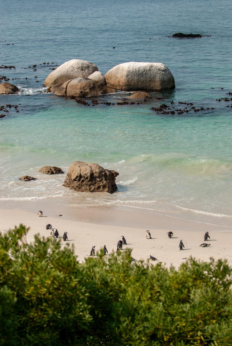 BOULDERS BEACH