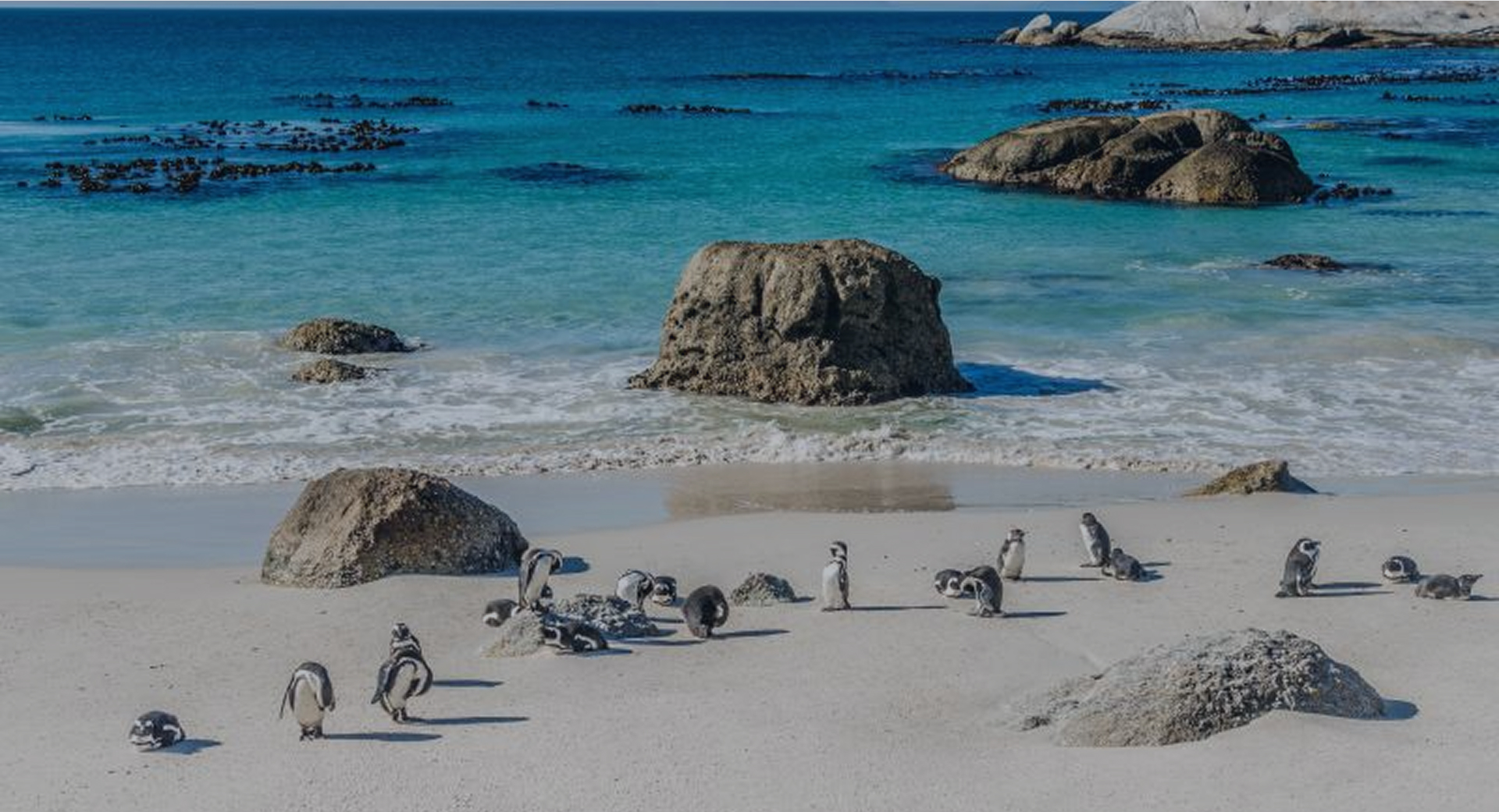 BOULDERS BEACH