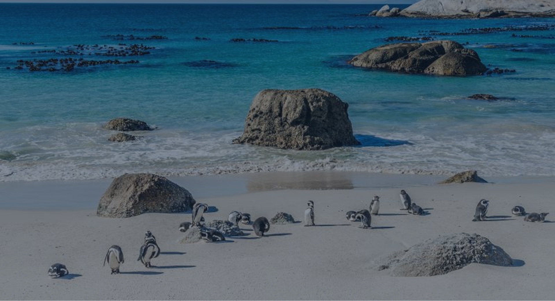 BOULDERS BEACH