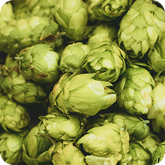ingredient image